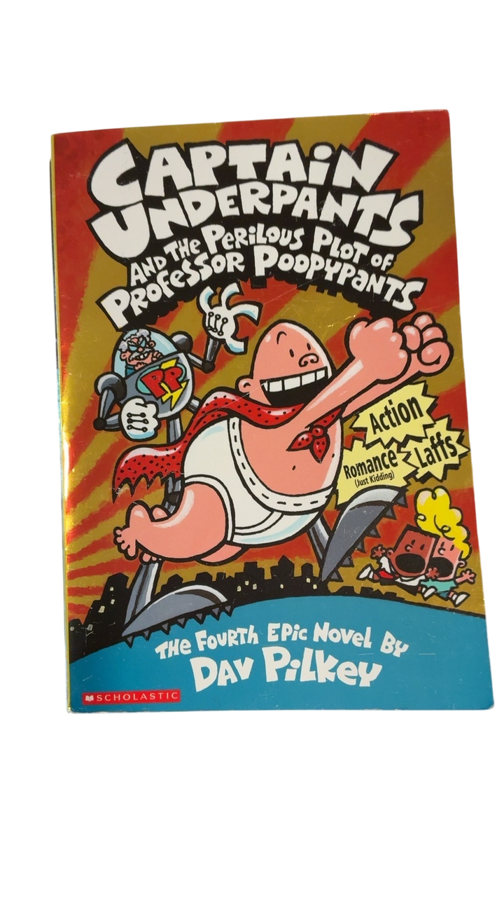 Scholastic Book Multicolored