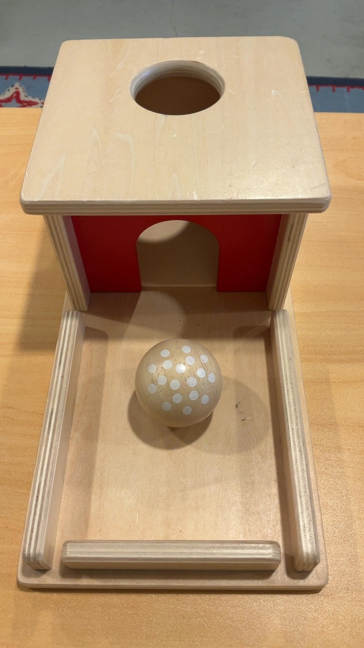 Montessori Permanence Box With Tray
