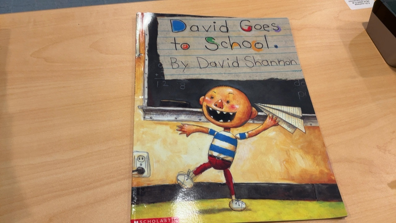 David Goes to School Book