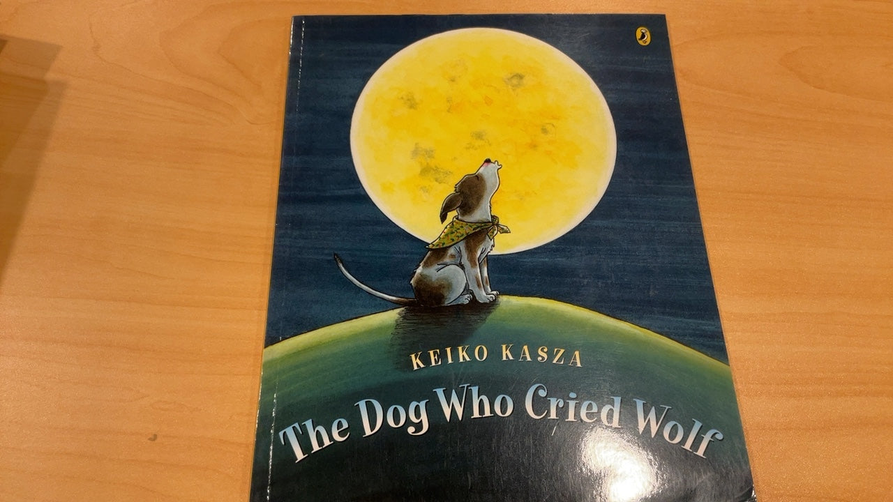 Unknown Book