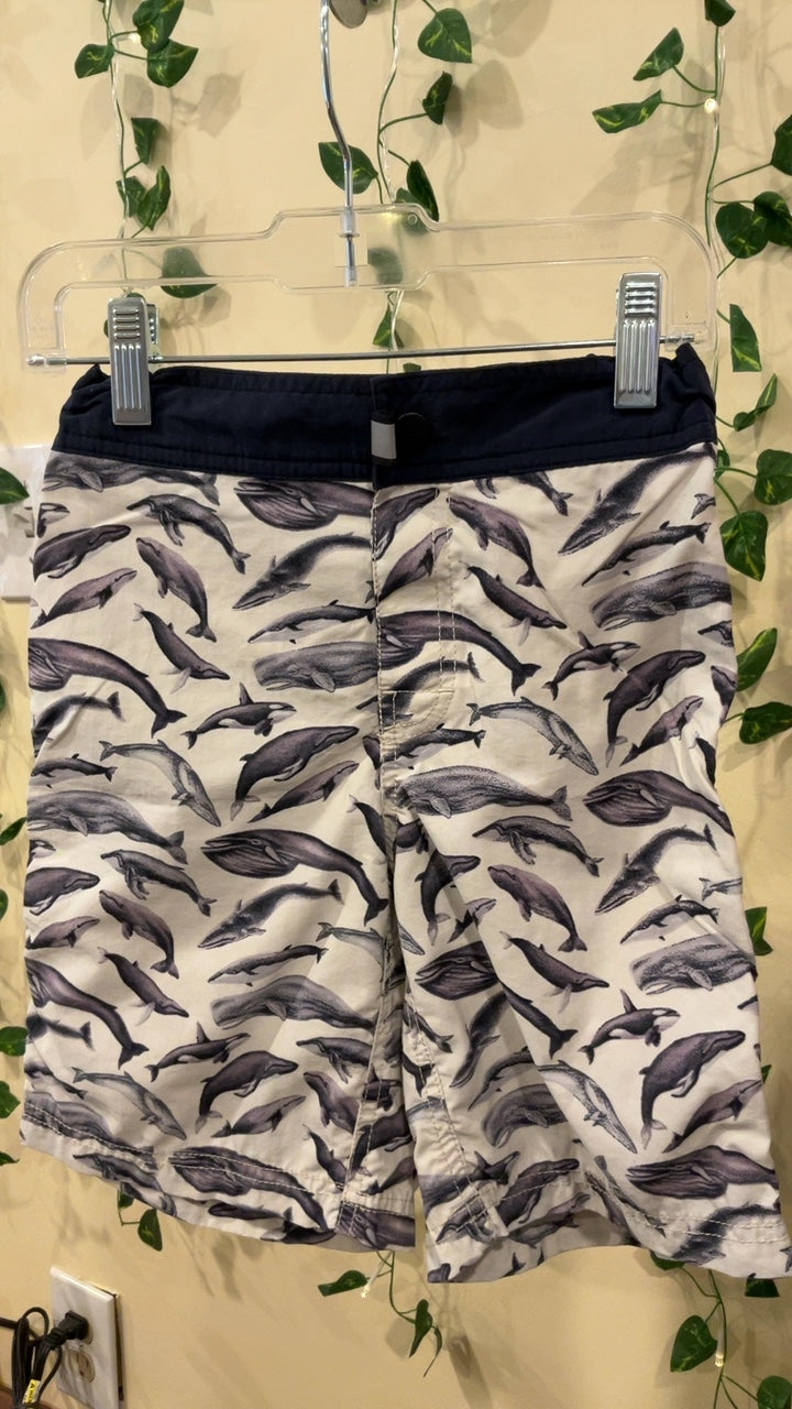 Crewcuts by J.Crew Swim Shorts 7