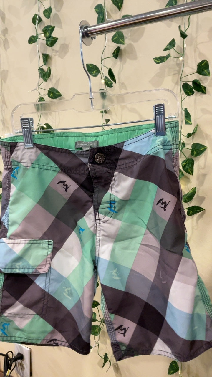 Pumpkin Patch Swim Shorts