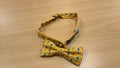 IZOD Bow Tie