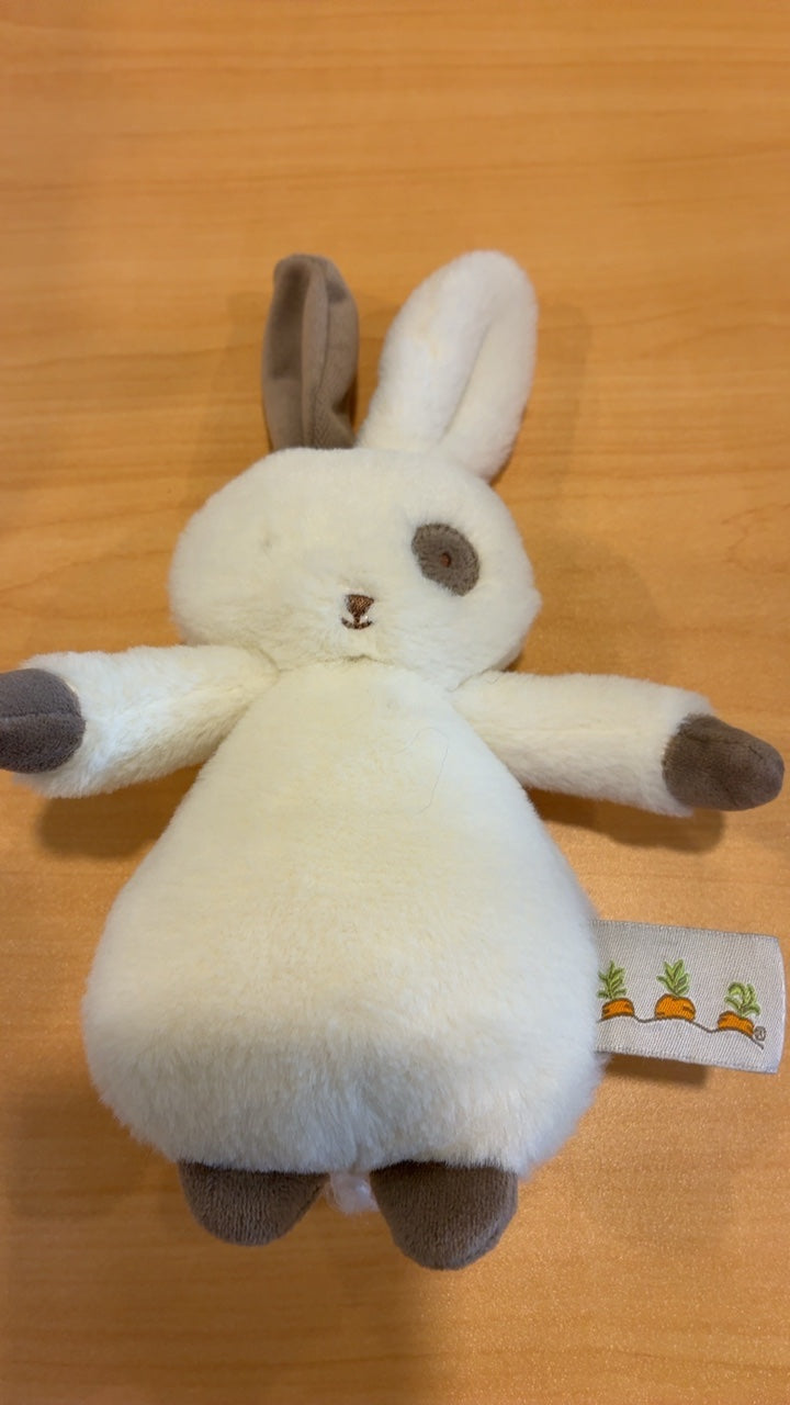 Bunnies By The Bay Huggable Bunny plush toy