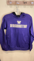 Washington Huskies Colosseum Arch and Logo 2.0 Pullover Hoodie | Size 12-14 years