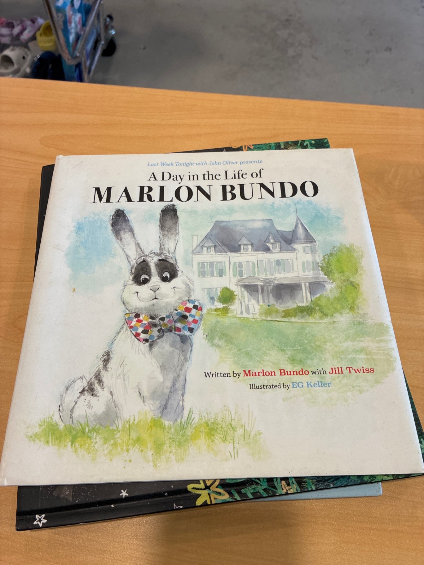A Day in the Life of Marlon Bundo