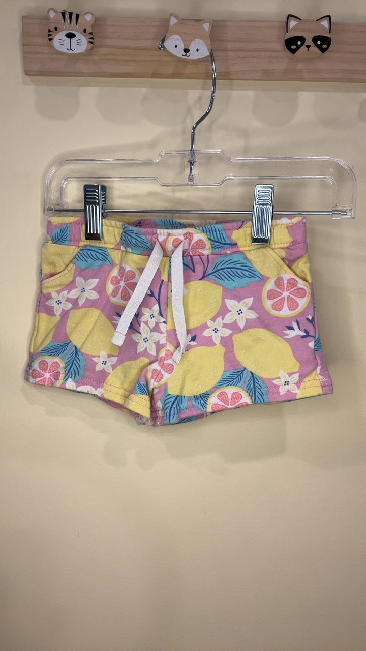 Carter's Shorts | Size 18 months