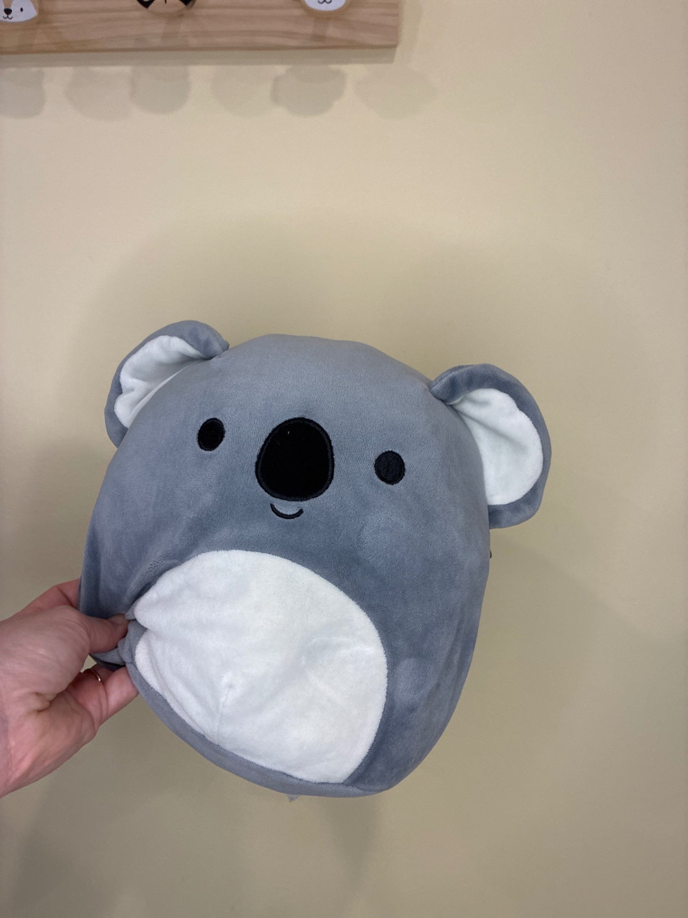 Squishmallow | Kirk the Koala 8”