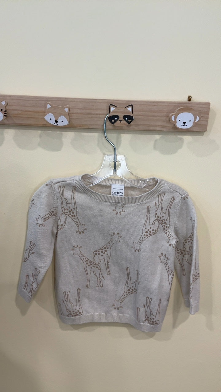 Carter's Sweater | Size 6 months