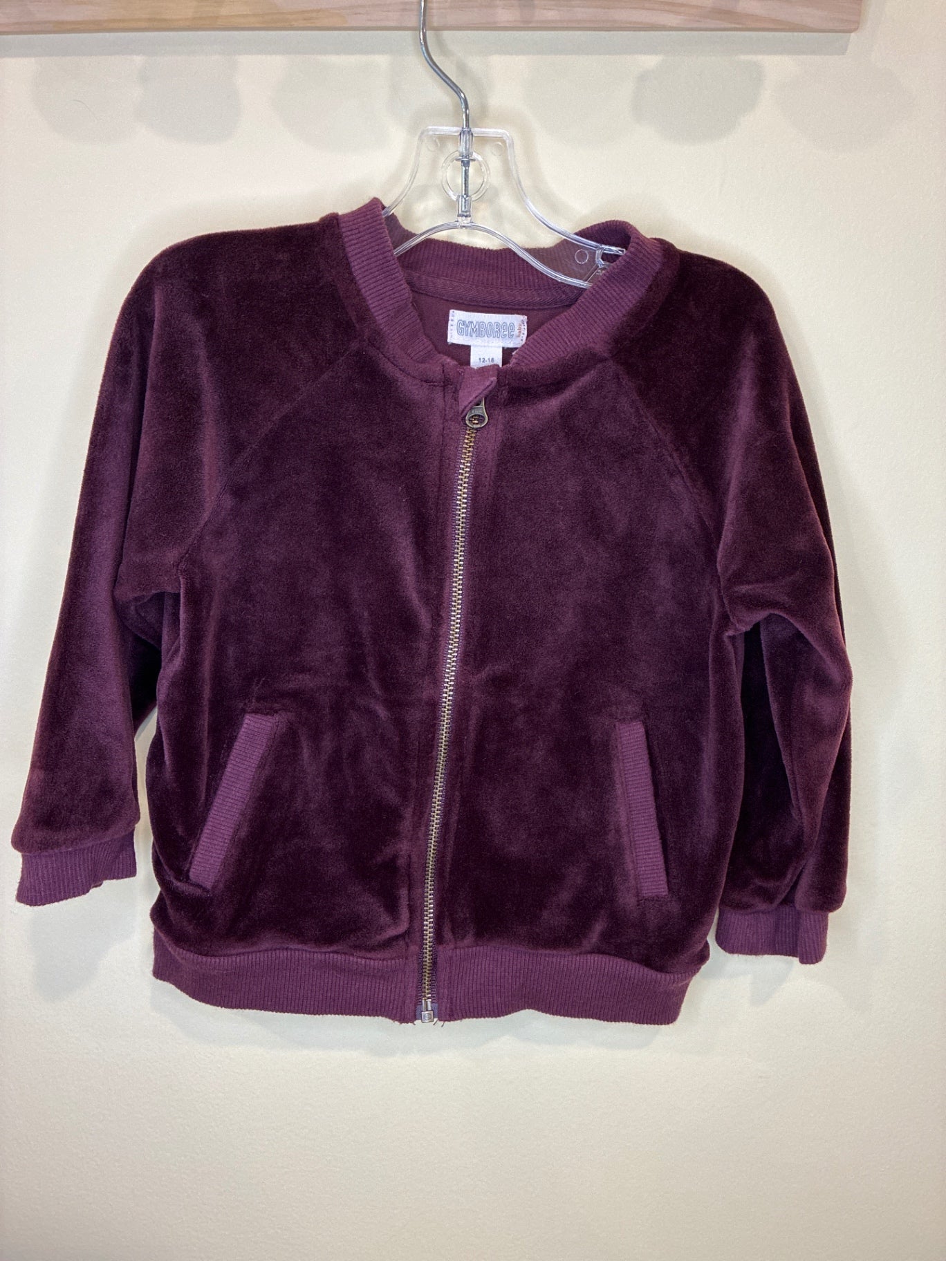 Gymboree Jacket | Size 12-18 months