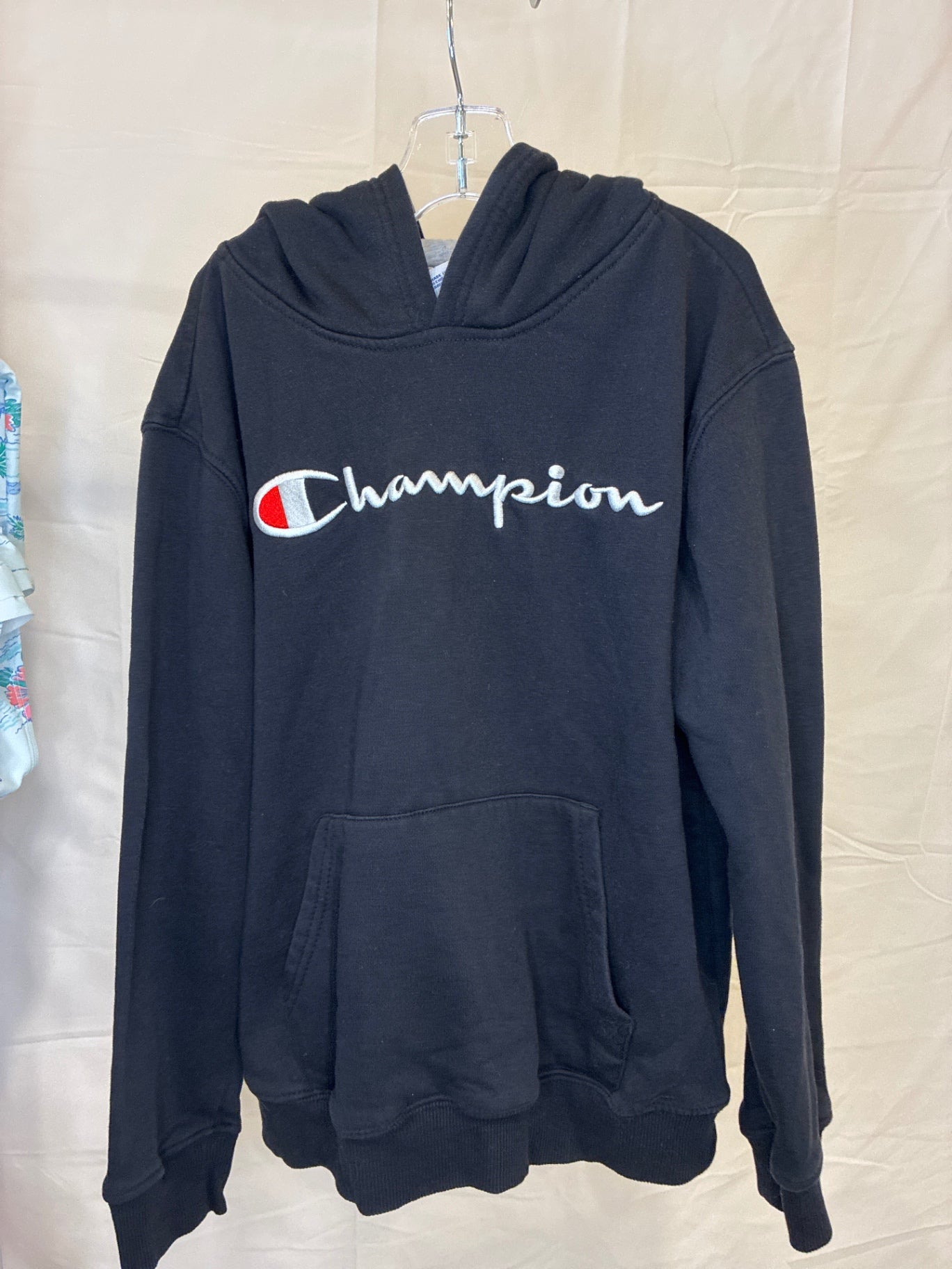 Champion Sweatshirt | Size Medium (10-12)
