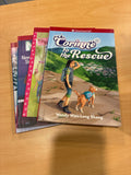 American Girl Book