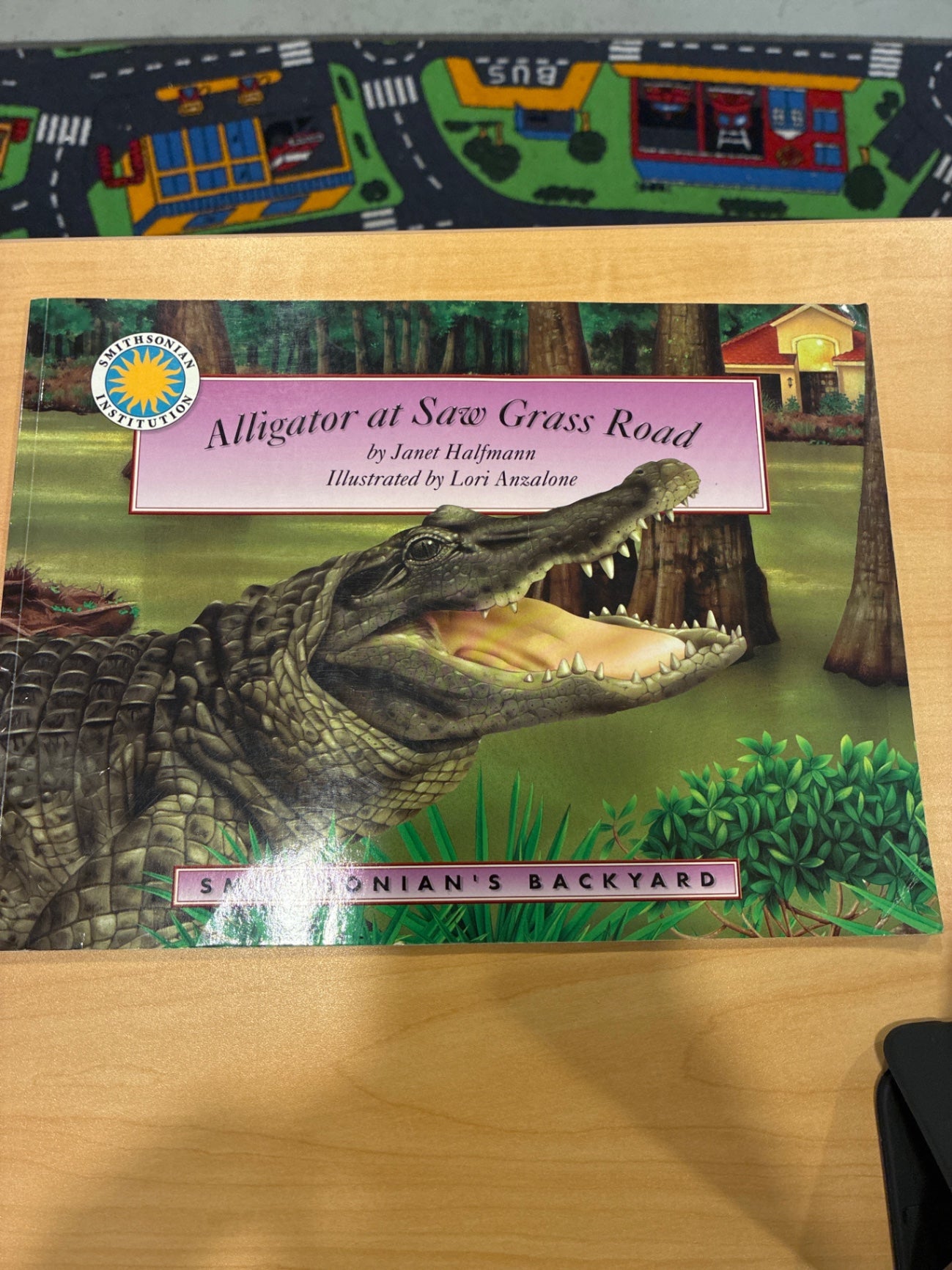 Alligator at Saw Grass Road