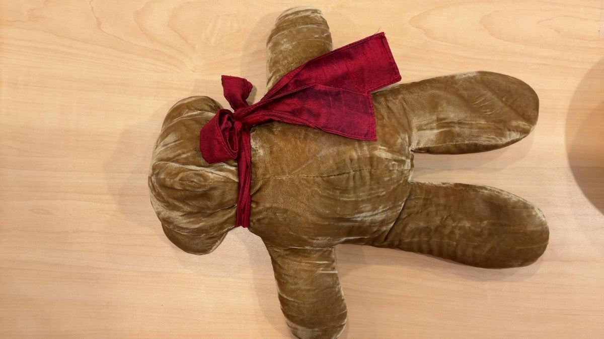 Pottery Barn Velvet Holiday Noel Bear