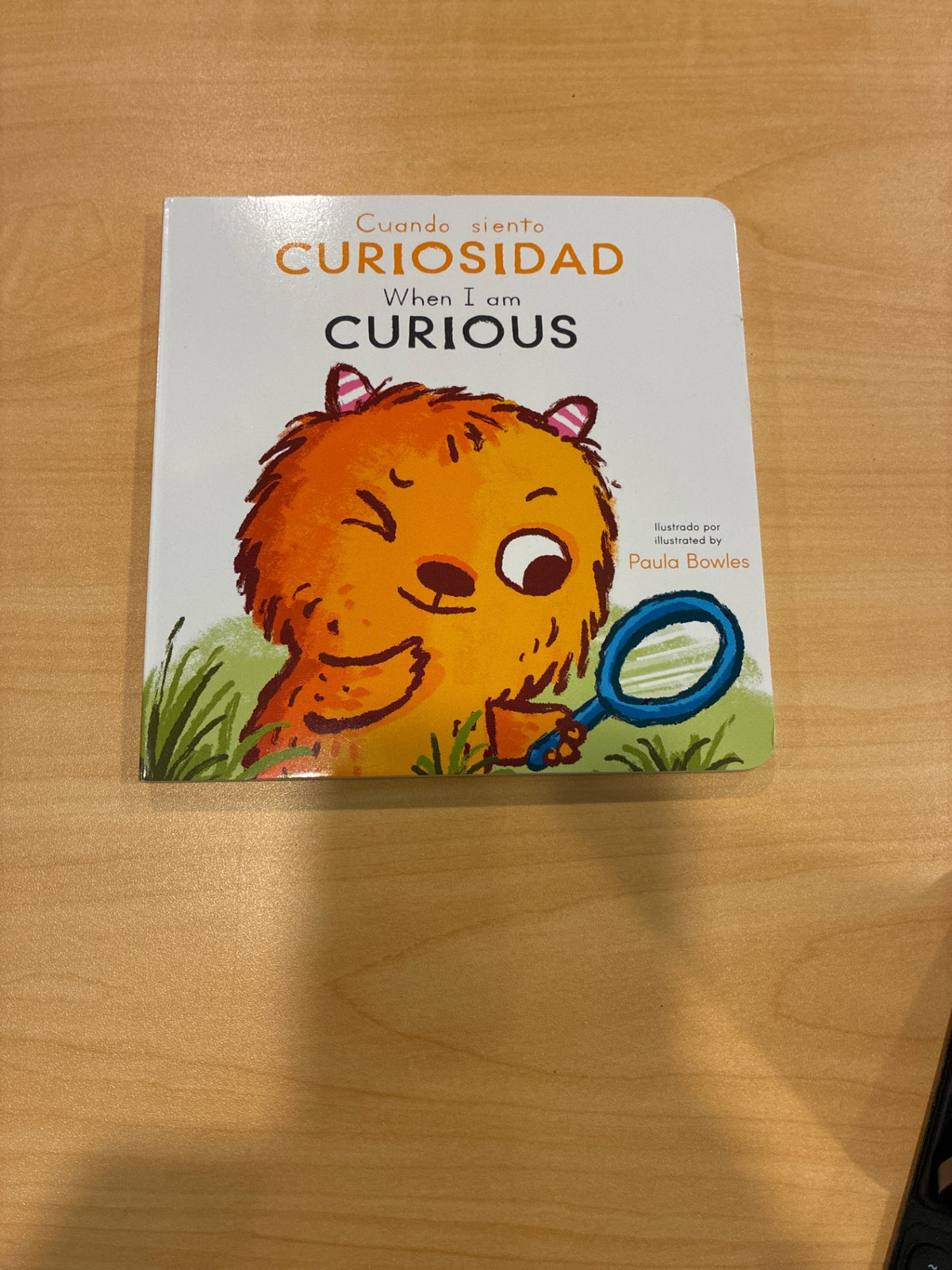 When I am Curious/ Cuando siento curiosidad