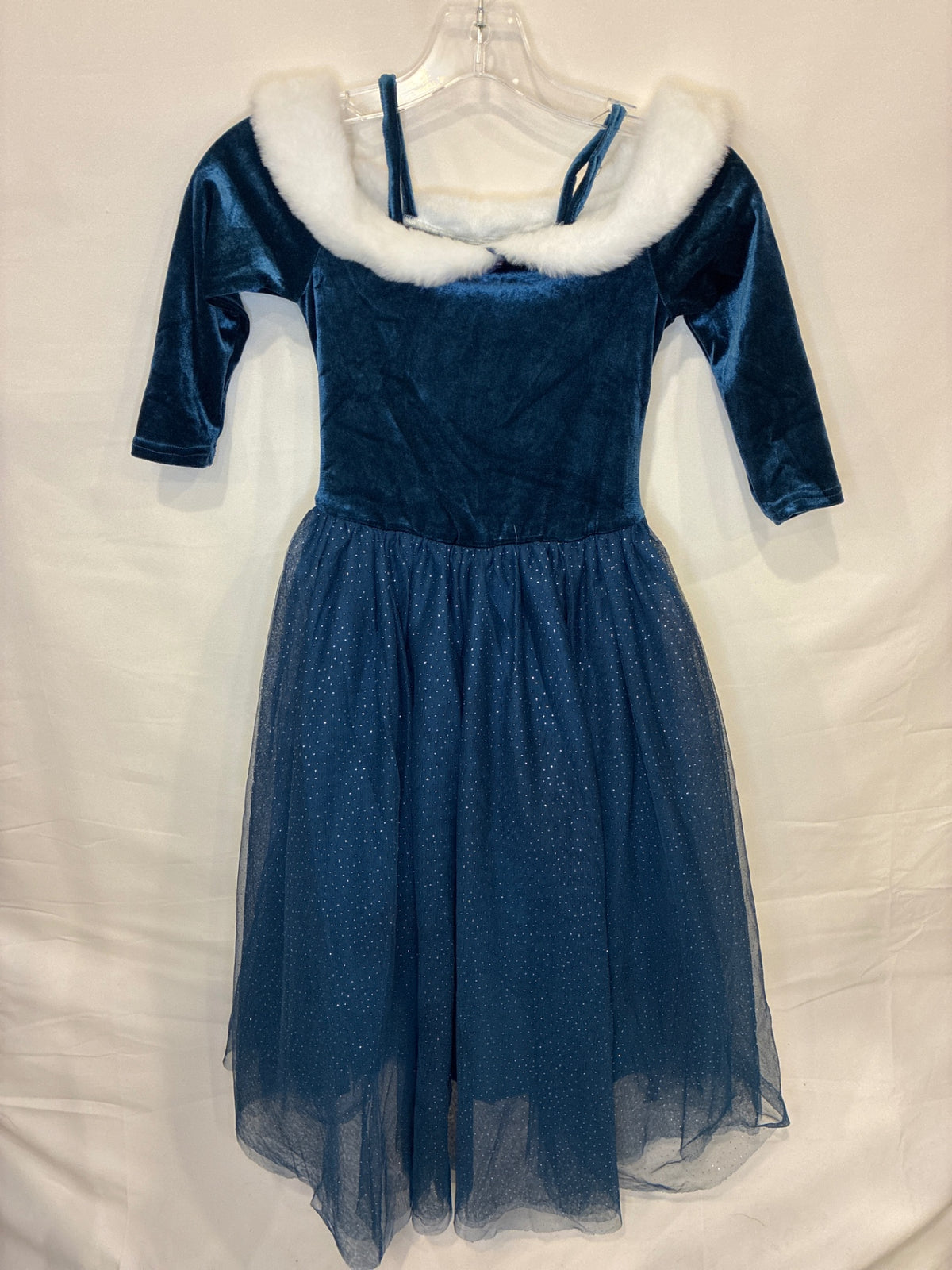 Joy Winter Queen Costume | Size 6-8