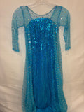 Elsa Costume | Size 8