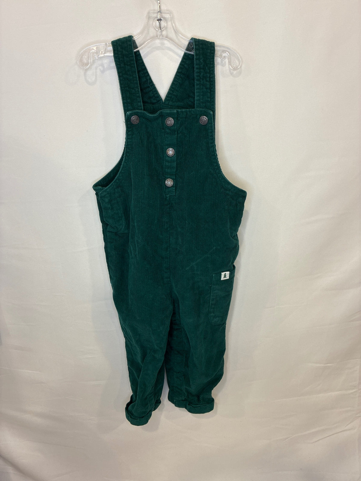 Carter's Overalls | 24 months