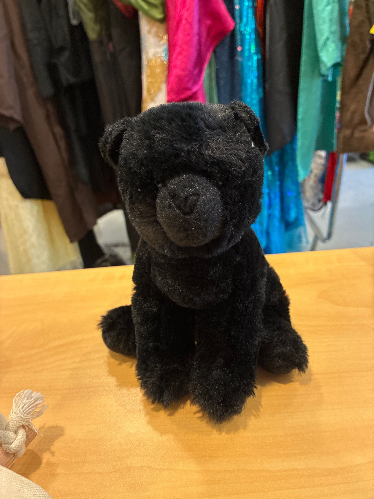 Douglas | Black Cat