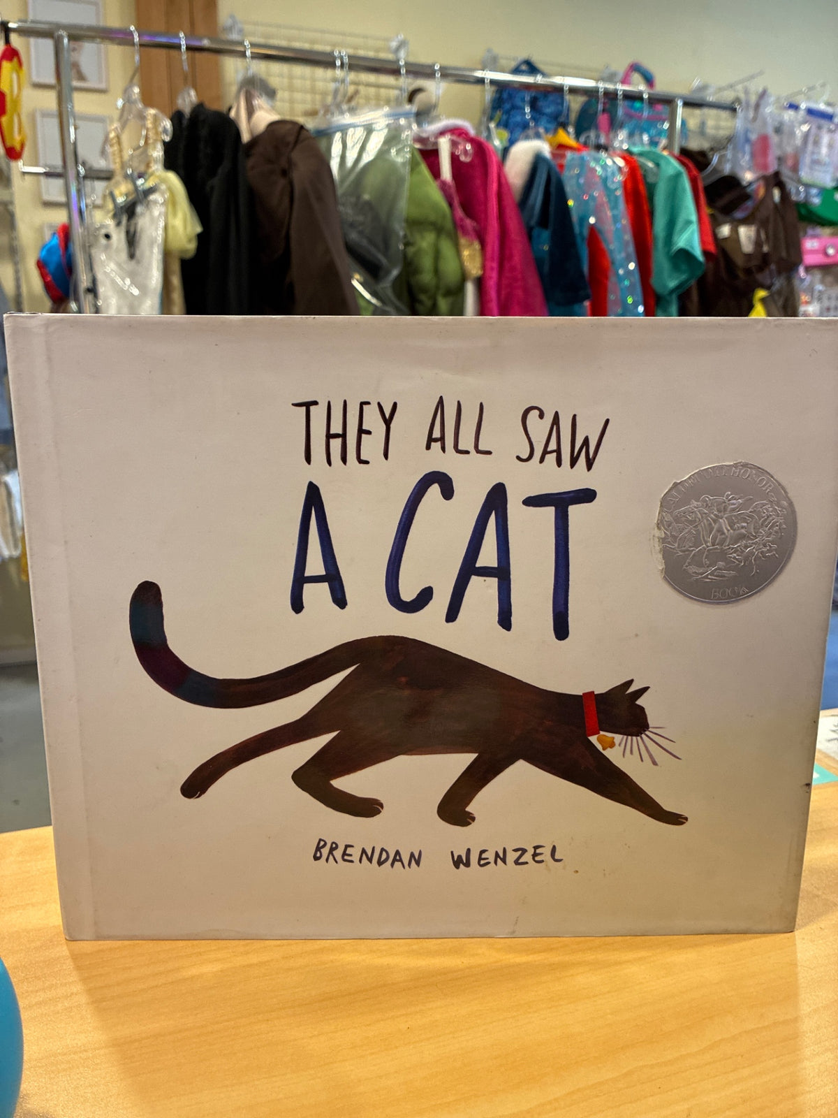 The All Saw a Cat