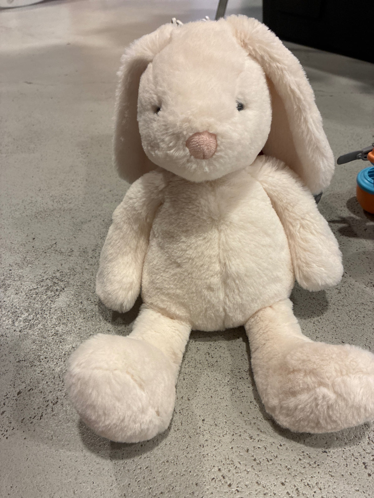 Mon Ami | Bunny