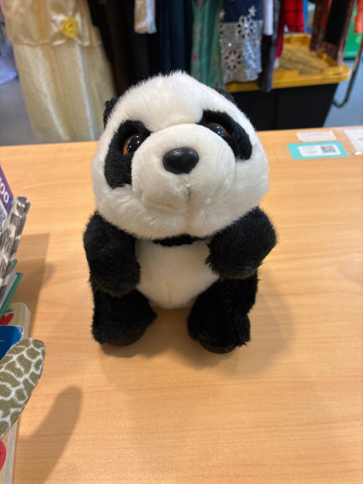 Aurora | Lin Lin the Panda