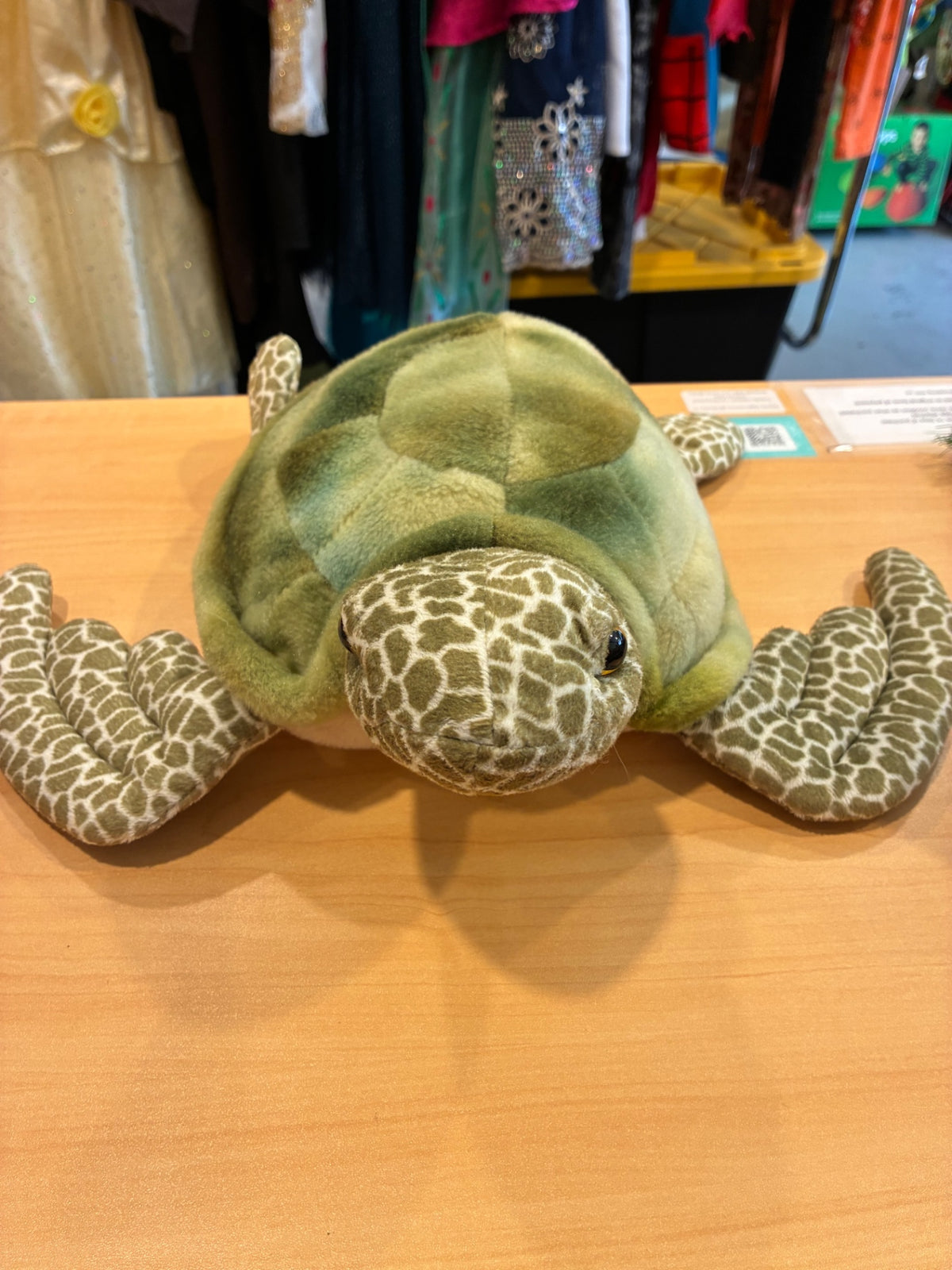 Ripley’s Aquariums | Sea Turtle 