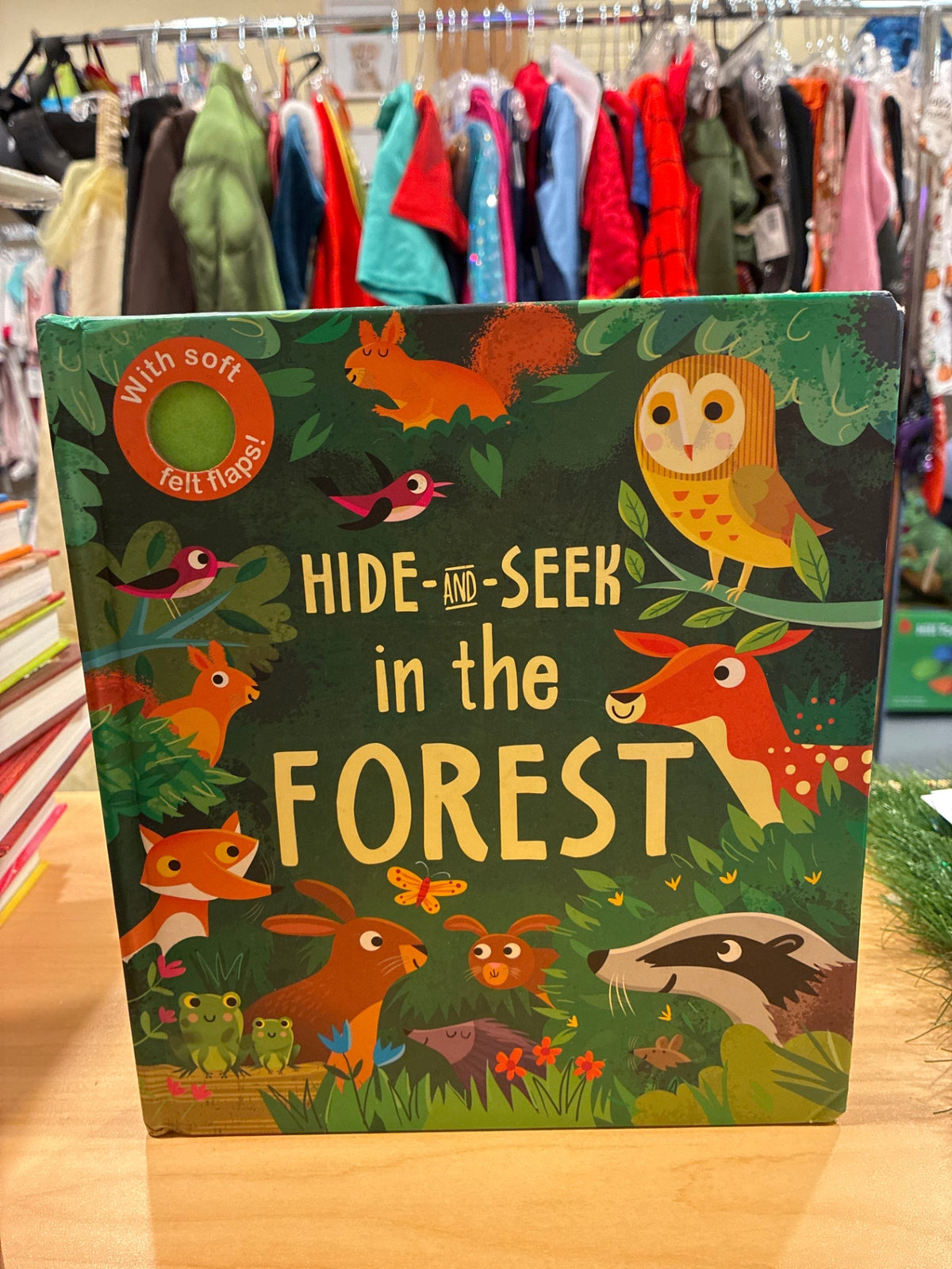 Hide-and-Seek in the Forest