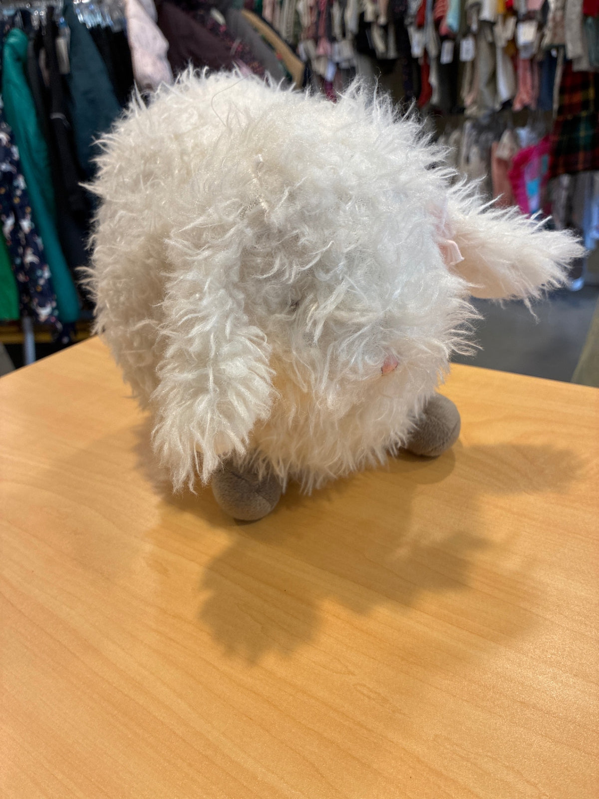 Bunnies by the Bay | Baa-bs the Lamb