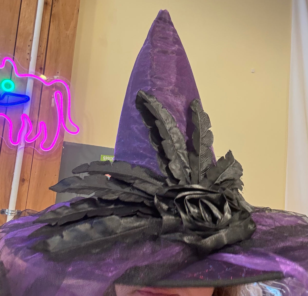 Witch’s Hat NWOT