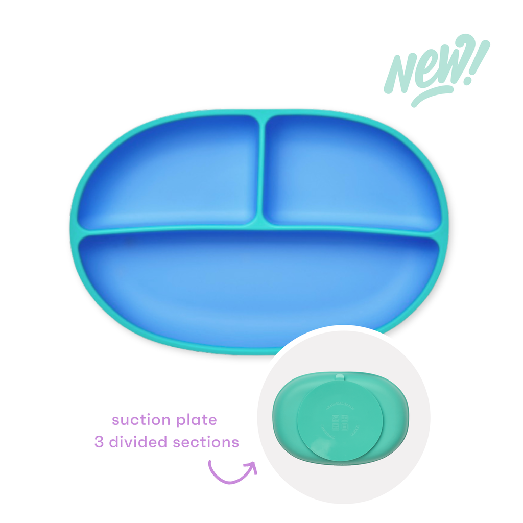 Color Pop Suction Plate